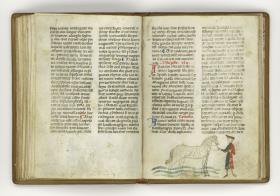 Giordano Rosso, Libro delle Mariscalcie dei cavalli. Ein Pferd wird von einem Mann in rotgrünem Rock ins Wasser geführt, um die Beine zu kühlen