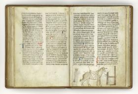 Giordano Rosso, Libro delle Mariscalcie dei cavalli. Pferd an der Krippe mit einem von der Decke hängenden Umschlag um den Leib