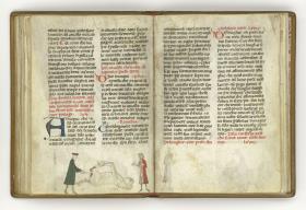 Giordano Rosso, Libro delle Mariscalcie dei cavalli. Liegendes, gefesseltes Pferd wird am linken Schenkel operiert