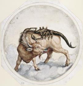 Tierkreiszeichen Skorpion und Stier