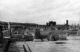Timgad Algier