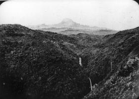 Hochgebirgsurwald (1900-2900m) am Kilimanjaro. Im Hintergrund der Mawewsi (Ostgipfel)