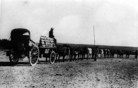 Der Ochsenwagen