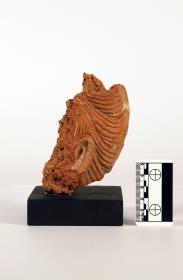 Fragment eines Devata-Kopfes