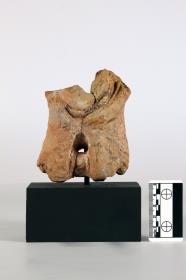 Bauchpartie einer kleinen Aufsteckfigur mit Faltengewand