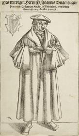 Johann Bugenhagen, Theologe in Wittenberg