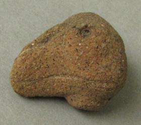 Vogelkopf