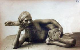 Yogi