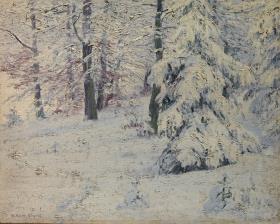 Wald im Winter