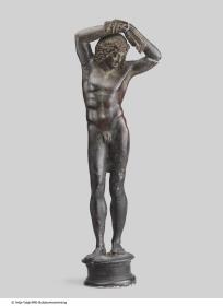 Narcissus