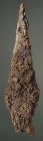 Speerspitze