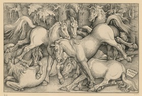 Gruppe von sieben Pferden