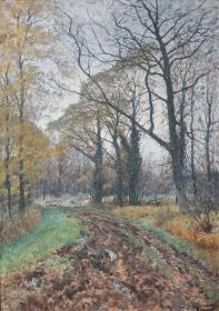 Waldweg im Spätherbst