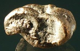 Astragal