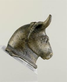 Stierprotome, verloren: linkes Horn, Teile der Ansatzfläche, reduziert, Oberfläche ziemlich stark angegriffen, im Innern Reste von Kernmasse