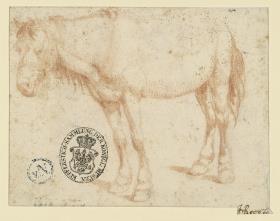 Stehendes Pferd, nach links