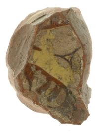 Schüssel oder Schale, Fragment