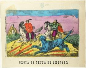 Tigerjagd in Amerika