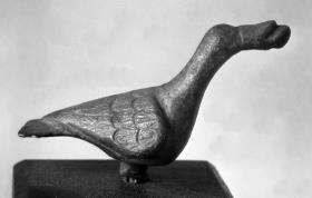 Gans, die etwas im Schnabel hält
