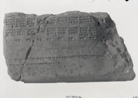 Zodiakal-Kalender des Sternzeichens Löwe