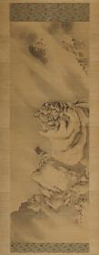 Tiger, einem Regenschauer trotzend
