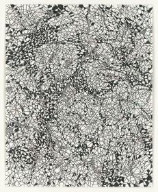 Ohne Titel (Aus der Serie: Vernetzung (44-27))