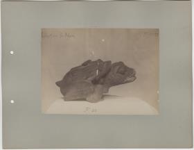 "Altertümer aus San Salvador. Collection L. Adam."