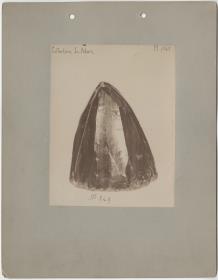"Altertümer aus San Salvador. Collection L. Adam."