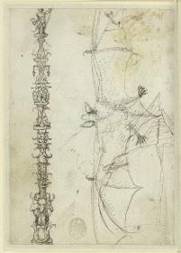 Ornamental verzierter Kandelaber, Fledermaus mit ausgestreckten Flügeln, von unten gesehen, Bugspriet und linke Bordwand des Schiffes auf fol. 3