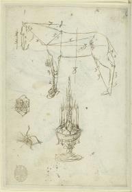 Proportionsstudie eines Pferdes, zwei Blumenornamente, gotischer Pokal (ein Brunnen oder Reliquienschrein?), Abklatsch der noch feuchten Tinte von Sonne und Mond von fol. 45