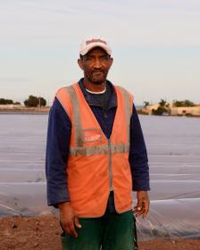 Noureddine, Galabardina