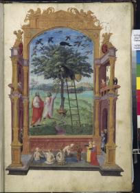 Splendor Solis oder Sonnenglanz - Philosophischer Baum