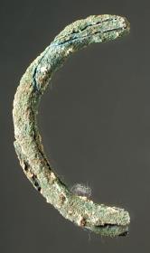 "Bruchstücke eines Rings"