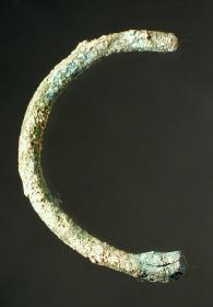 "Bruchstücke eines Rings"