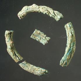 Bruchstücke von Ringen
