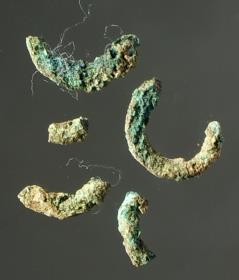 Fragment einer Spirale