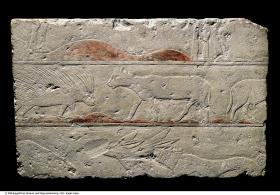 Relief aus dem Grab des Pehenuka mit verschiedenen Wüstentieren (u. a. Stachelschwein)