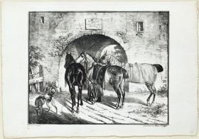 Drei Pferde am Torweg