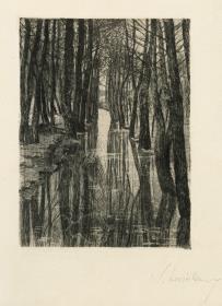 Wasserloch (auch "Canal")