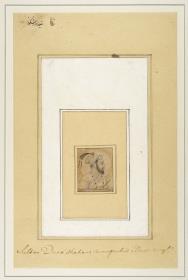Porträt des Sultan Dara Shikoh