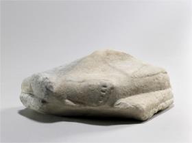 Fussfragment
