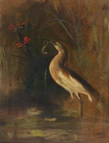 Fischreiher und Salamander