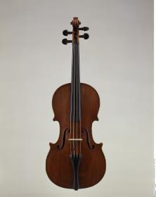 Violine