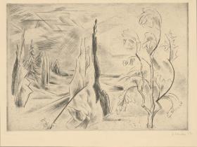 Landschaft