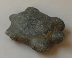 Schildkröte