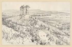 Blick in eine weite Landschaft mit Baumgruppe auf einem kahlen Hügel