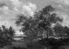 Waldige Landschaft