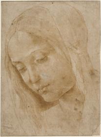 Kopf einer Madonna (nach Filippino Lippi)