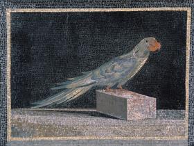 Papageien-Mosaik