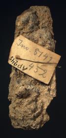 "Rest einer Schwertklinge", tatsächlich aber wohl anpassendes Fragment der Lanzenspitze Misc. 8142, 452 (NF)